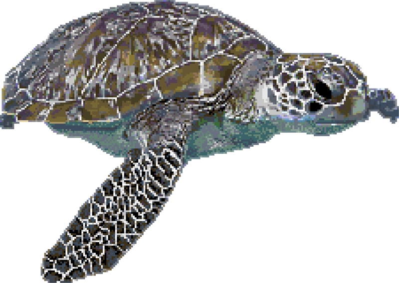 Панно Панно «Черепаха C» серия Панно Rose