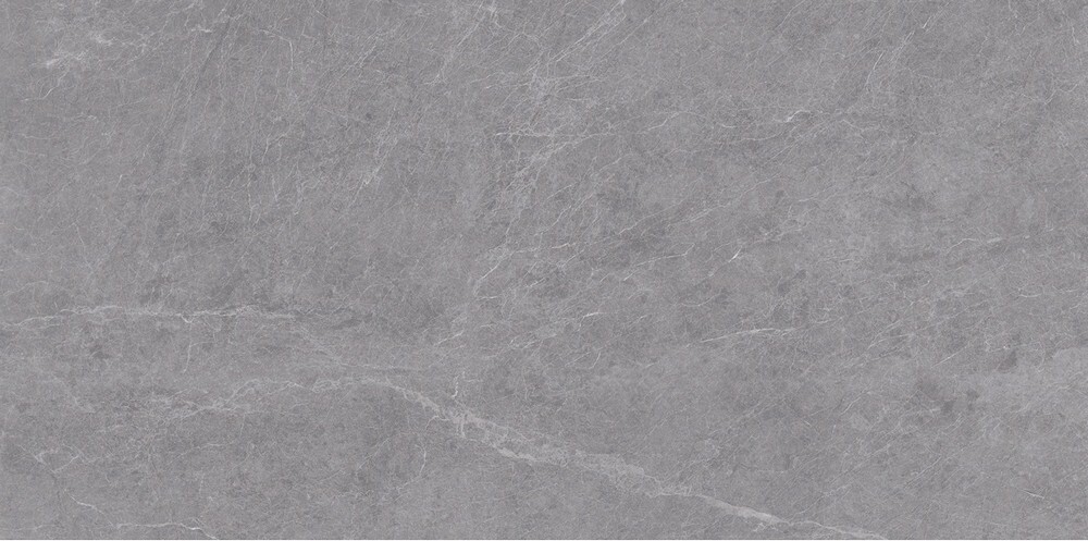 Плитка Alpine Gris 60x120 Matt серия Silk