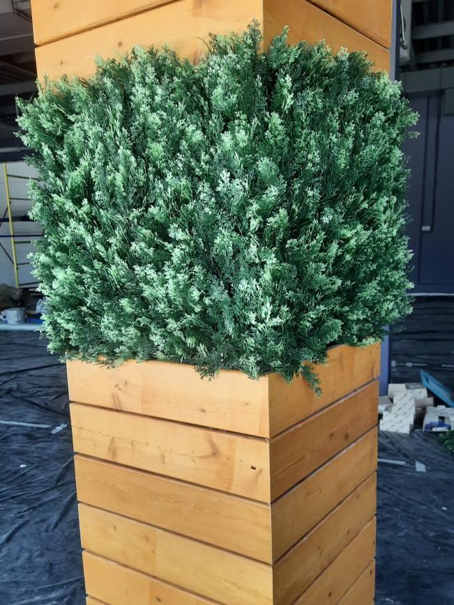 Трава 052279 MZCGZ-06034 серия Grass