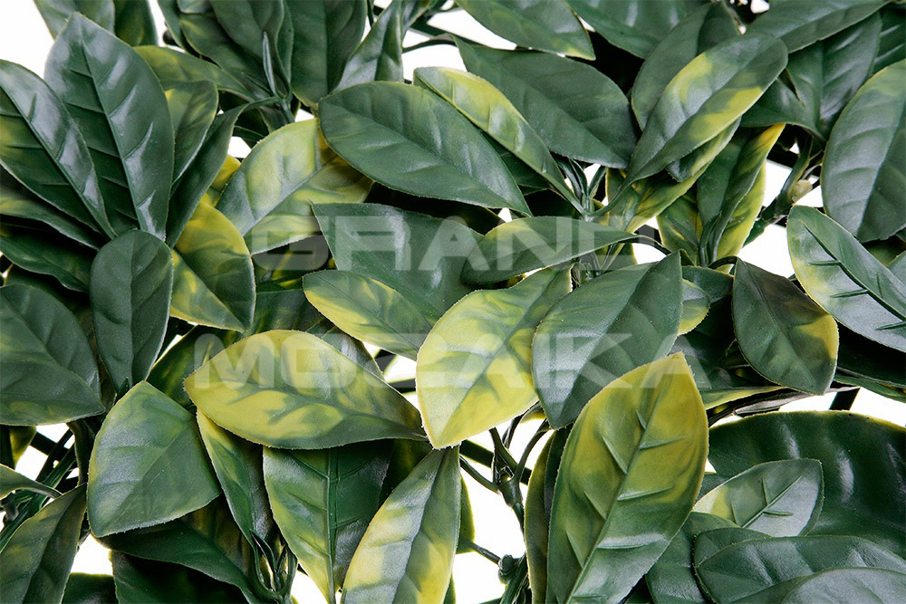 Трава 052284 MZCGZ-06090/MZ188006A серия Grass