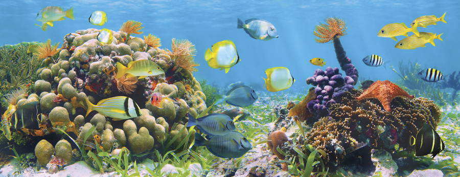 Панно 10540 серия Панно Fa Ro