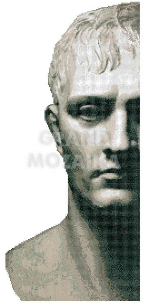 Панно Bonaparte Wall серия Decorations